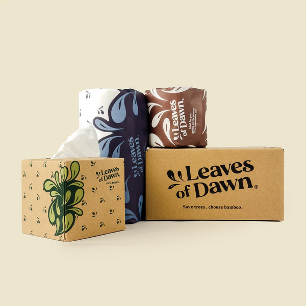 Sustainable Bamboo Paper Discovery Box
